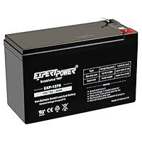 Algopix Similar Product 9 - ExpertPower 12v 7ah Rechargeable Sealed