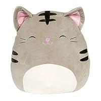 Algopix Similar Product 19 - Squishmallow 16 Tally The Grey Cat