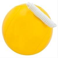 Algopix Similar Product 5 - US Coach Supply Standard Tetherball 