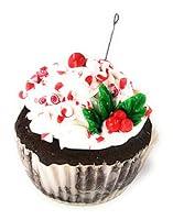 Algopix Similar Product 3 - Mini Chocolate Peppermint Cupcake