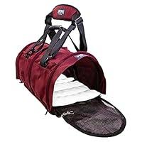 Algopix Similar Product 16 - STURDI PRODUCTS SturdiBag Pet Carrier