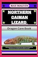 Algopix Similar Product 9 - NORTHERN CAIMAN LIZARD Dragon Care