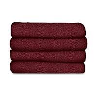 Algopix Similar Product 4 - Sunbeam Heated Blanket  LoftTec 10