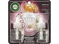 Algopix Similar Product 19 - Air Wick Summer Delights Sweet Melon