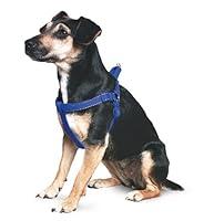 Algopix Similar Product 2 - Ancol Padded Harness Blue, Size Small