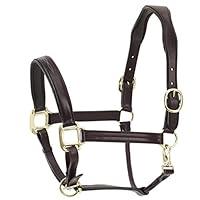 Algopix Similar Product 9 - Ovation Fancy Padded Halter Dk Brown