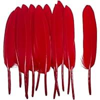 Algopix Similar Product 14 - 100pcs Red Goose Feathers 46 Inch