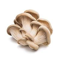 Algopix Similar Product 19 - PRODUCE Organic Oyster Mushrooms, 3.5 OZ
