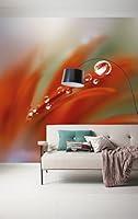 Algopix Similar Product 18 - Komar 167DV3 Photomural Colourful