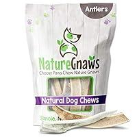 Algopix Similar Product 16 - Nature Gnaws Deer Antlers for Small