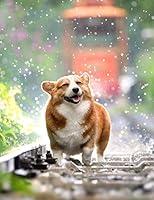 Algopix Similar Product 4 - Notebook Pets Dog Corgi Cute Welsh