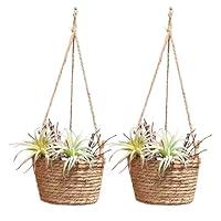 Algopix Similar Product 2 - BEIJIALY 2 Pack Seagrass Hanging