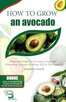 Algopix Similar Product 11 - HOW TO GROW AN AVOCADO Beginners Guide