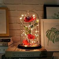 Algopix Similar Product 10 - URBANSEASONS Mothers Day Rose Gifts for