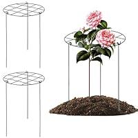 Algopix Similar Product 2 - 3pcs Peony Cages and Supports Peony