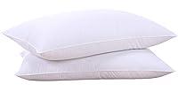 Algopix Similar Product 15 - Goose Feathers and Down White Pillows