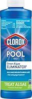 Algopix Similar Product 5 - Clorox PoolSpa Swimming Pool