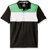 Algopix Similar Product 10 - Puma Golf Boys 2019 Nineties Polo