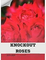 Algopix Similar Product 2 - Knockout Roses: Become flowers expert