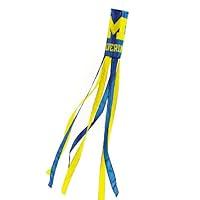 Algopix Similar Product 1 - NCAA Michigan Wolverines Wind Sock