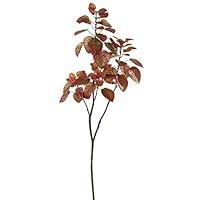 Algopix Similar Product 13 - Vickerman TB170302 Everyday Tree