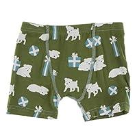 Algopix Similar Product 15 - KicKee Pants Boxer Briefs Set 2T3T