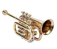 Algopix Similar Product 5 - Sai Musical Pocket Trumpet 3 Valves