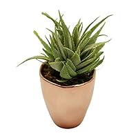 Algopix Similar Product 5 - Small Faux Aloe Succulent in Rose Gold