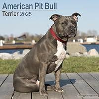 Algopix Similar Product 3 - American Pit Bull Terrier Calendar 2025