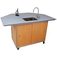 Algopix Similar Product 2 - Monsam PSE2040 Portable Science Lab