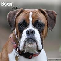 Algopix Similar Product 12 - Boxer Euro Calendar 2025  Square Dog