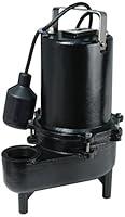 Algopix Similar Product 18 - ECOFLO Products ESE60W Cast Iron