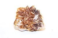 Algopix Similar Product 9 - TOP Grade FIRE RED VANADINITE CRYSTAL