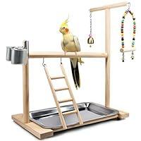 Algopix Similar Product 1 - Bird Playground Parrot Playstand Bird