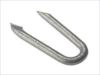 Algopix Similar Product 8 - 500NLNS20GB Netting Staple Galvanised