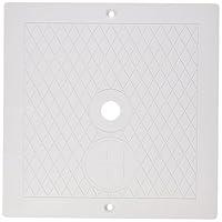 Algopix Similar Product 15 - Hayward SPX1082E Cover Square