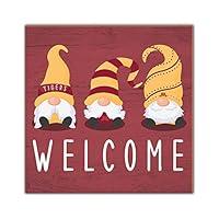 Algopix Similar Product 2 - Fan Creations Minnesota Welcome Gnomes