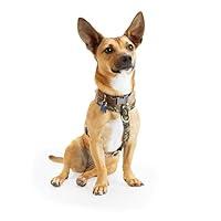 Algopix Similar Product 7 - Reddy Jacquard Strap Dog Harness Camo