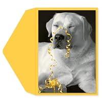 Algopix Similar Product 5 - Graphique Birthday Cards…