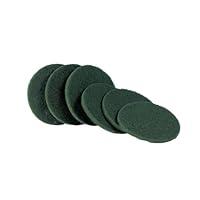 Algopix Similar Product 7 - Electrolux Polisher Scouring Disk