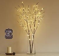 Algopix Similar Product 6 - Hairui Lighted Brown Branches Battery
