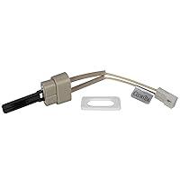 Algopix Similar Product 12 - Pentair 777070054 Igniter and Gasket