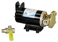 Algopix Similar Product 13 - Jabsco Pump Oil Changer Pump Oil