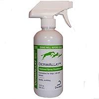 Algopix Similar Product 10 - Oatmeal Conditioner, 12 oz. Y