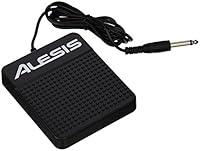 Algopix Similar Product 14 - Alesis ASP-1 Keyboard Sustain Pedal