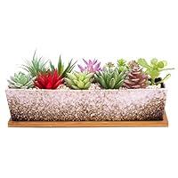 Algopix Similar Product 20 - ARTKETTY Succulent Pots  Large