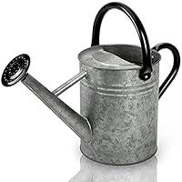 Algopix Similar Product 5 - Cesun Metal Watering Can 1 Gallon for