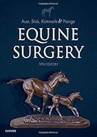 Algopix Similar Product 3 - Equine Surgery
