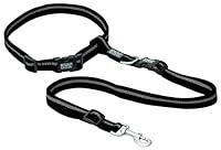 Algopix Similar Product 16 - Terrain D.O.G. Jogging Leash
