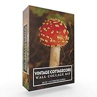 Algopix Similar Product 1 - Vintage Cottagecore Wall Collage Kit